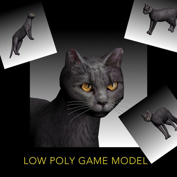 max cat pet - Cat low poly by virtualclay